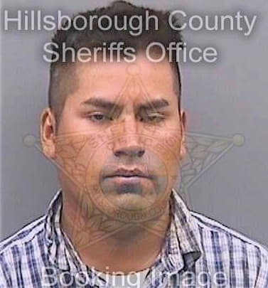 Dejesus Timoteo - Hillsborough County, FL 