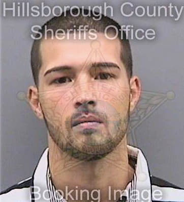 Vazquez Alain - Hillsborough County, FL 