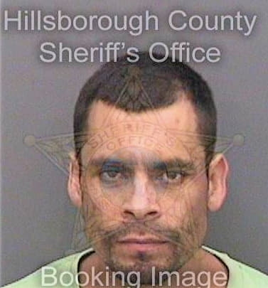 Contrerasvazquez Mario - Hillsborough County, FL 