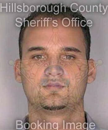 Betacourt Wilfredo - Hillsborough County, FL 