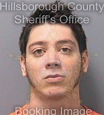 Mateo Anthony - Hillsborough County, FL 