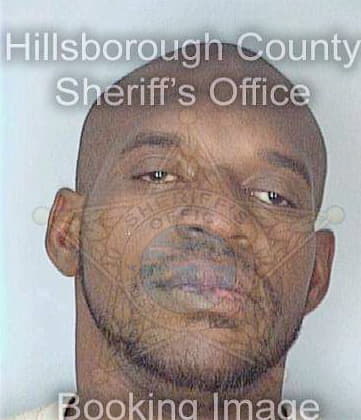 Mcfadden Archie - Hillsborough County, FL 