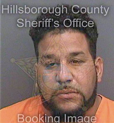 Vegaramirez Joel - Hillsborough County, FL 