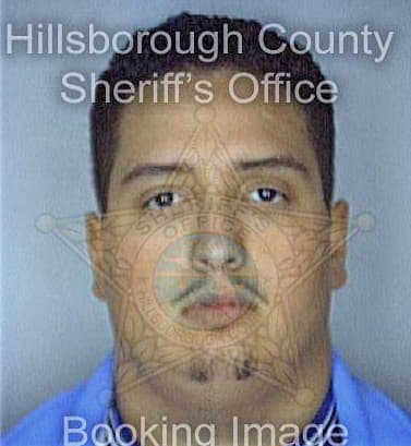 Diaz Obed - Hillsborough County, FL 