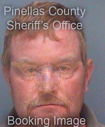 Hillman Steven - Pinellas County, FL 