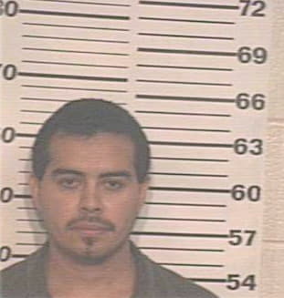 Sanchez Jesus - Hidalgo County, TX 