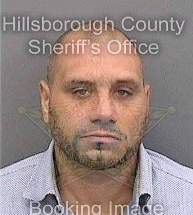 Francolino John - Hillsborough County, FL 