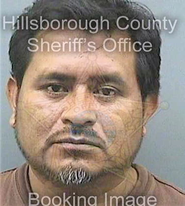 Segundo Osiel - Hillsborough County, FL 