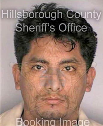 Perez Abelardo - Hillsborough County, FL 