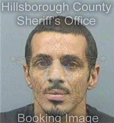 Ortizmorales Miguel - Hillsborough County, FL 