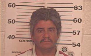 Ramirez David - Hidalgo County, TX 