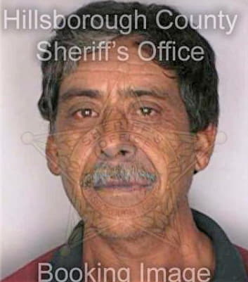 Bonilla Jose - Hillsborough County, FL 