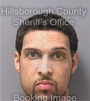 Mercadoaviles Arnaldo - Hillsborough County, FL 