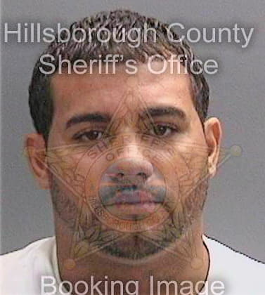 Lopez Jesus - Hillsborough County, FL 