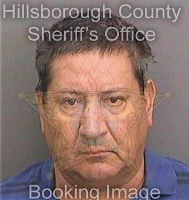 Villaortaga Gabriel - Hillsborough County, FL 