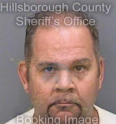 Hollis David - Hillsborough County, FL 