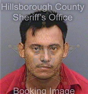 Sanchez Ersain - Hillsborough County, FL 