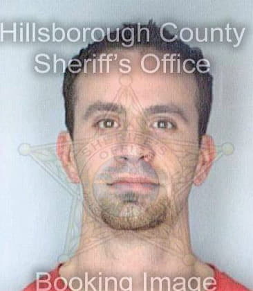 Johnson David - Hillsborough County, FL 