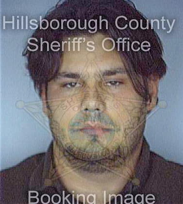 Bosko Michael - Hillsborough County, FL 