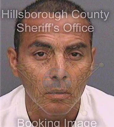 Garcia Earnesto - Hillsborough County, FL 