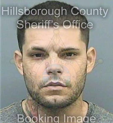 Riano Julio - Hillsborough County, FL 