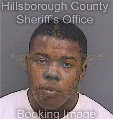 Johnson Reginald - Hillsborough County, FL 