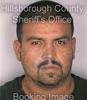 Vazquez Francisco - Hillsborough County, FL 