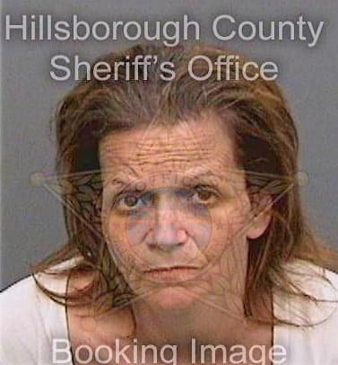 Bolin Gidget - Hillsborough County, FL 