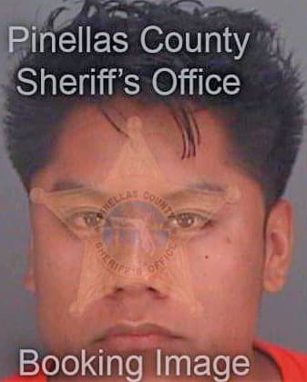 Donujimenez Tomas - Pinellas County, FL 