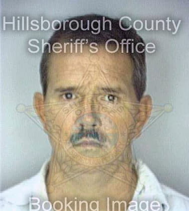 Slawson Frank - Hillsborough County, FL 