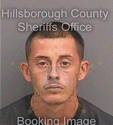 Lopez Luis - Hillsborough County, FL 