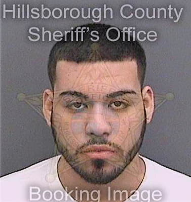 Paduajimenez Michael - Hillsborough County, FL 