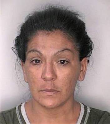 Sanchez Maribel - Hillsborough County, FL 