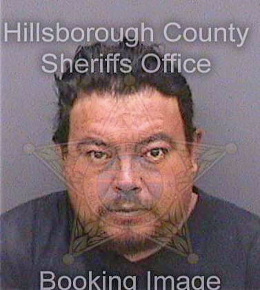 Britoarroyo Jesus - Hillsborough County, FL 