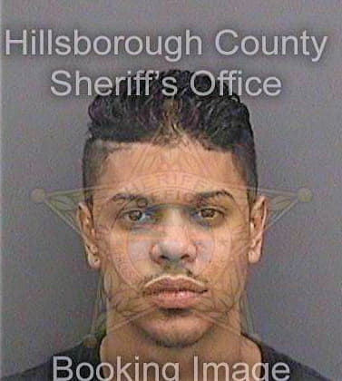 Gonzalezgomez Ingmar - Hillsborough County, FL 