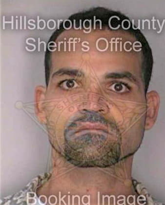 Torresgarcia Radames - Hillsborough County, FL 