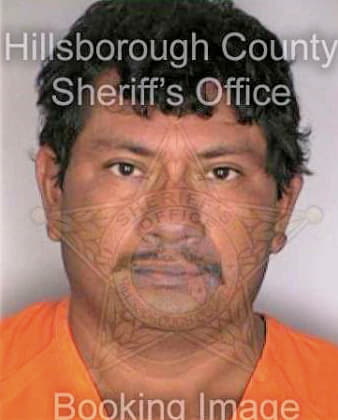 Reyesgarcia Adel - Hillsborough County, FL 