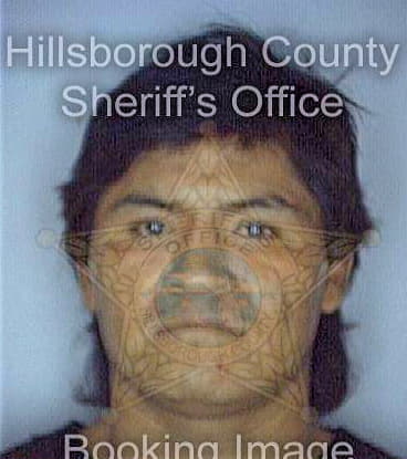 Gonzalez Eleazar - Hillsborough County, FL 