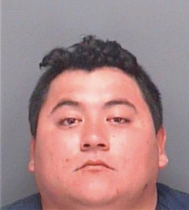 Hernandez Jose - Pinellas County, FL 