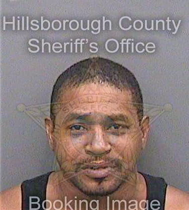 Hankerson Tracey - Hillsborough County, FL 