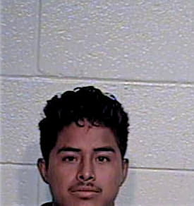 Hernandez Sergio - Hidalgo County, TX 