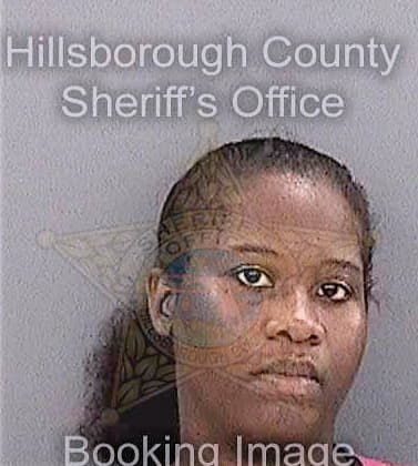 Simmons Evelyn - Hillsborough County, FL 