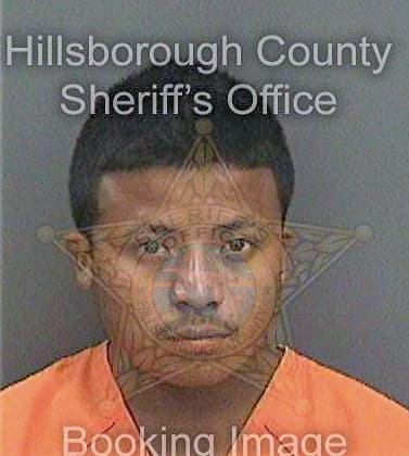 Gonzalezmejia Abel - Hillsborough County, FL 