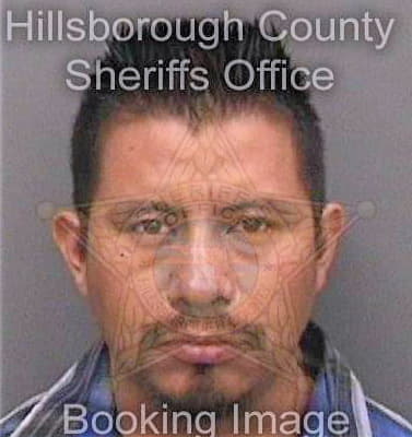 Perez Domingo - Hillsborough County, FL 