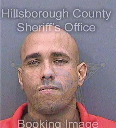 Mereses Greggory - Hillsborough County, FL 