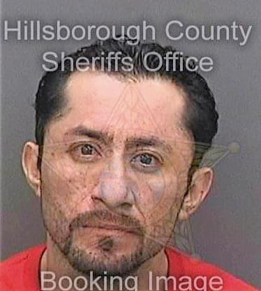 Martinezlopez Richardo - Hillsborough County, FL 