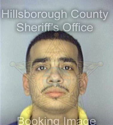 Marroquin Michael - Hillsborough County, FL 