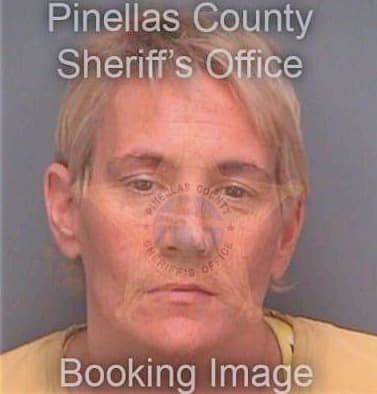 Stringer Teri - Pinellas County, FL 