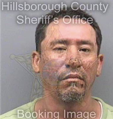 Porrasrodriguez Luis - Hillsborough County, FL 