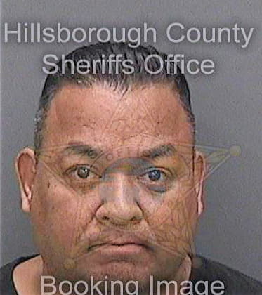 Persaud Michael - Hillsborough County, FL 